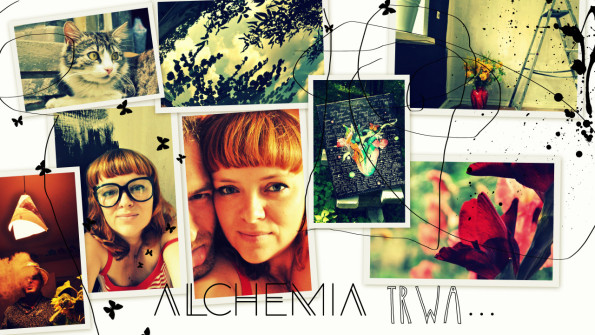 tumblr_nb86gchyOp1thrd16o1_1280